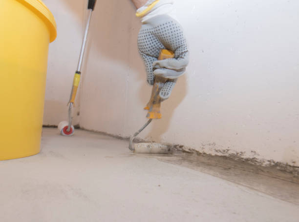 Best Termite Inspection and Treatment  in Augusta, ME